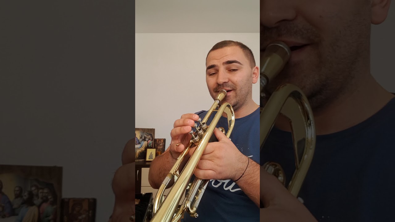 Tutorial Melodie obiceiuri de iarnă. Capra, Malanca etc...