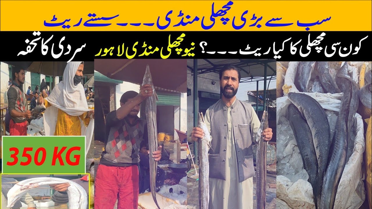 New fish mandi Lahore | New fish market latest rates | New fish market location | super Sabzi Mandi