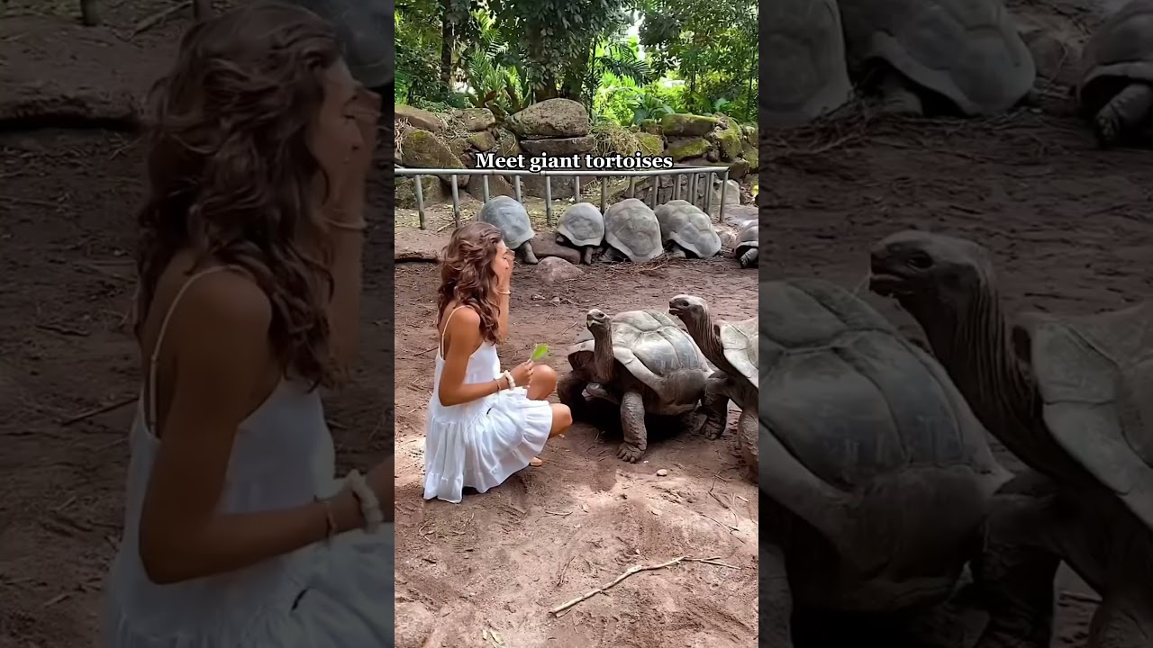 5 best things to do in Seychelles🏝