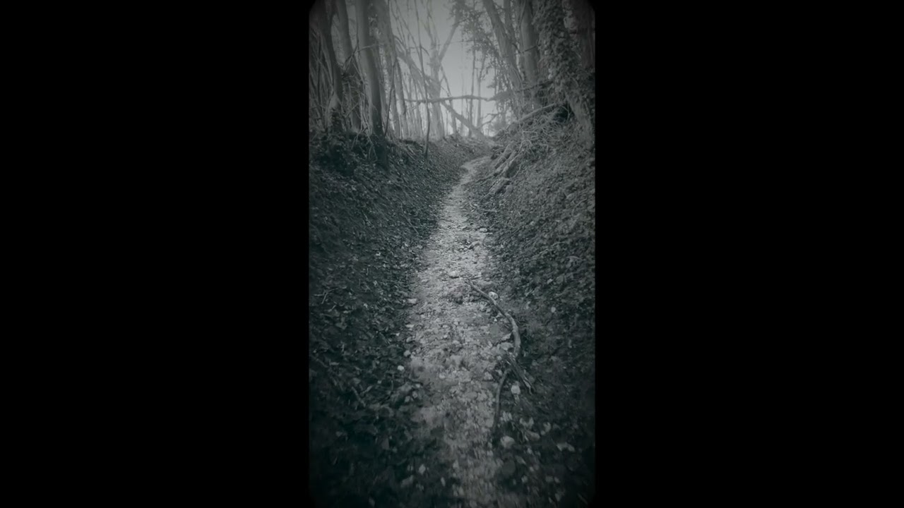Taz Modi - Involuntary Memories Pt.1 [Official Visualiser]