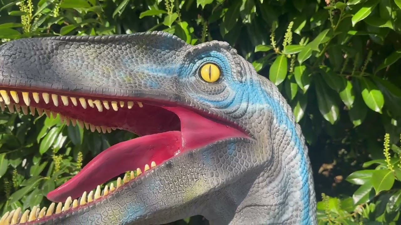 Product Demo: Velociraptor Dinosaur Ornament in Blue (HS-VELOCIRAPTORBLUE)