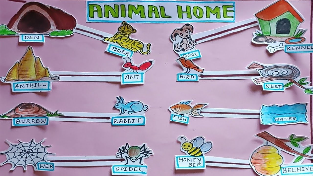 ANIMAL HOME || EVS TLM || TLM for primary school #tlmmaster