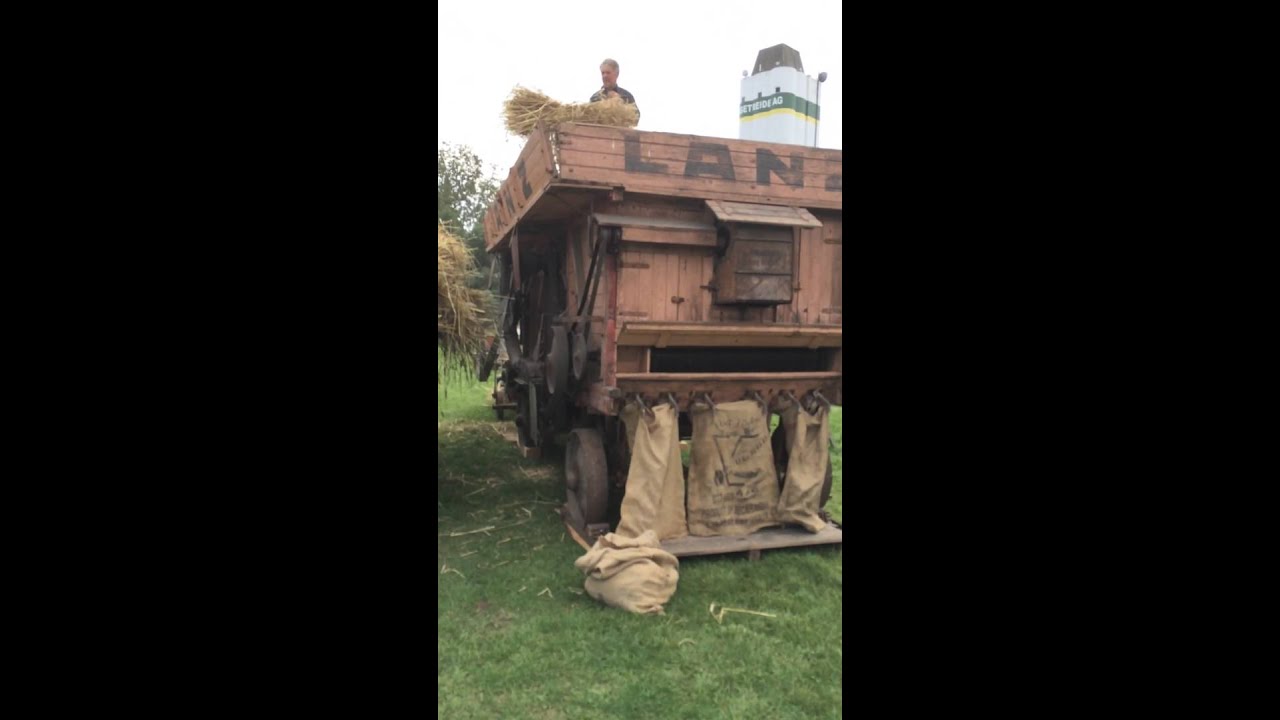 Dreschen auf dem Museumshof Lensahn mit Ursus 45 und Lanz Dreschkasten