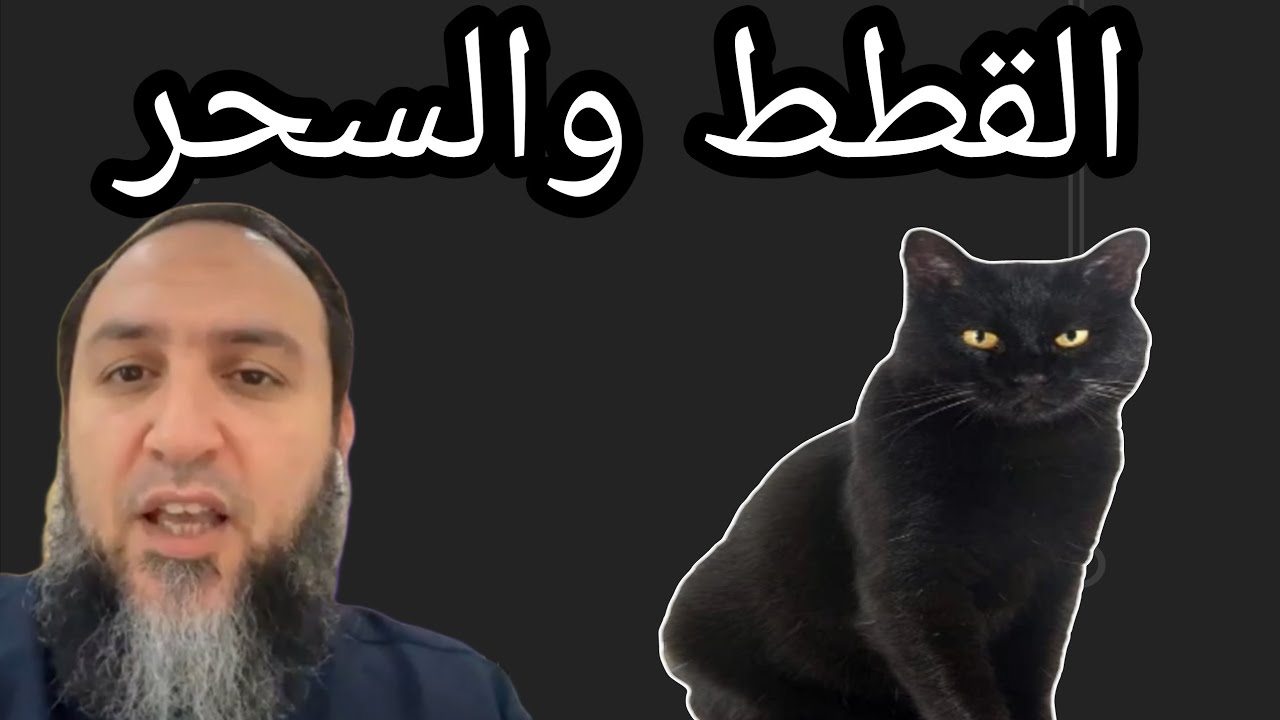 القطط والسحر مع الشيخ عمرو الليثي