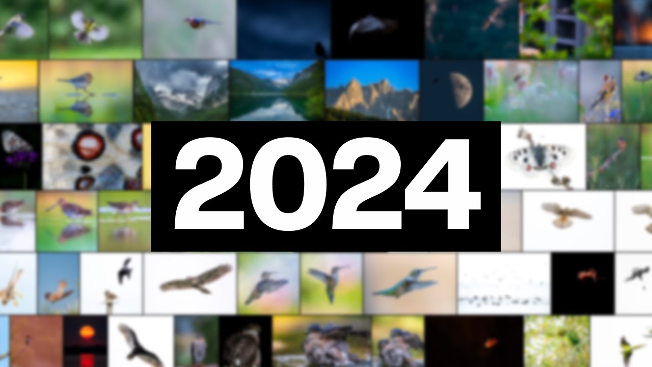 Mein fotografischer Jahresrückblick 2024