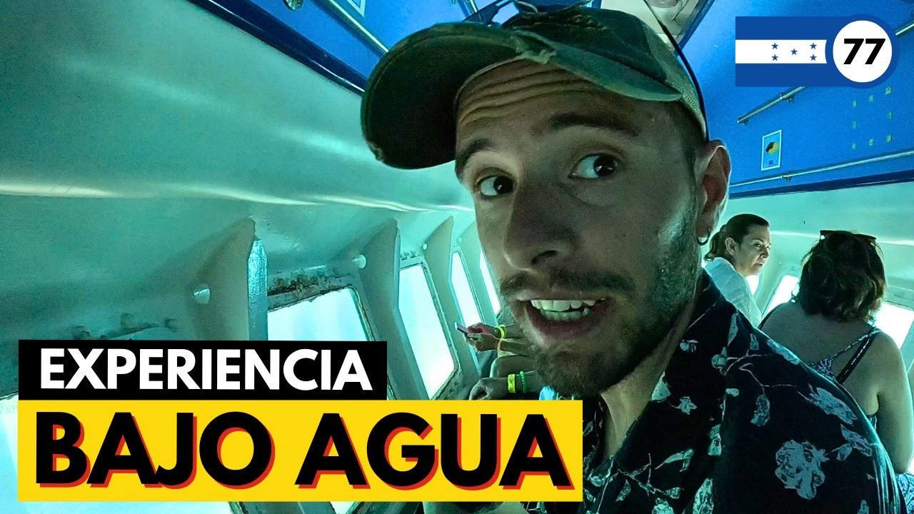 Nos subimos a un 