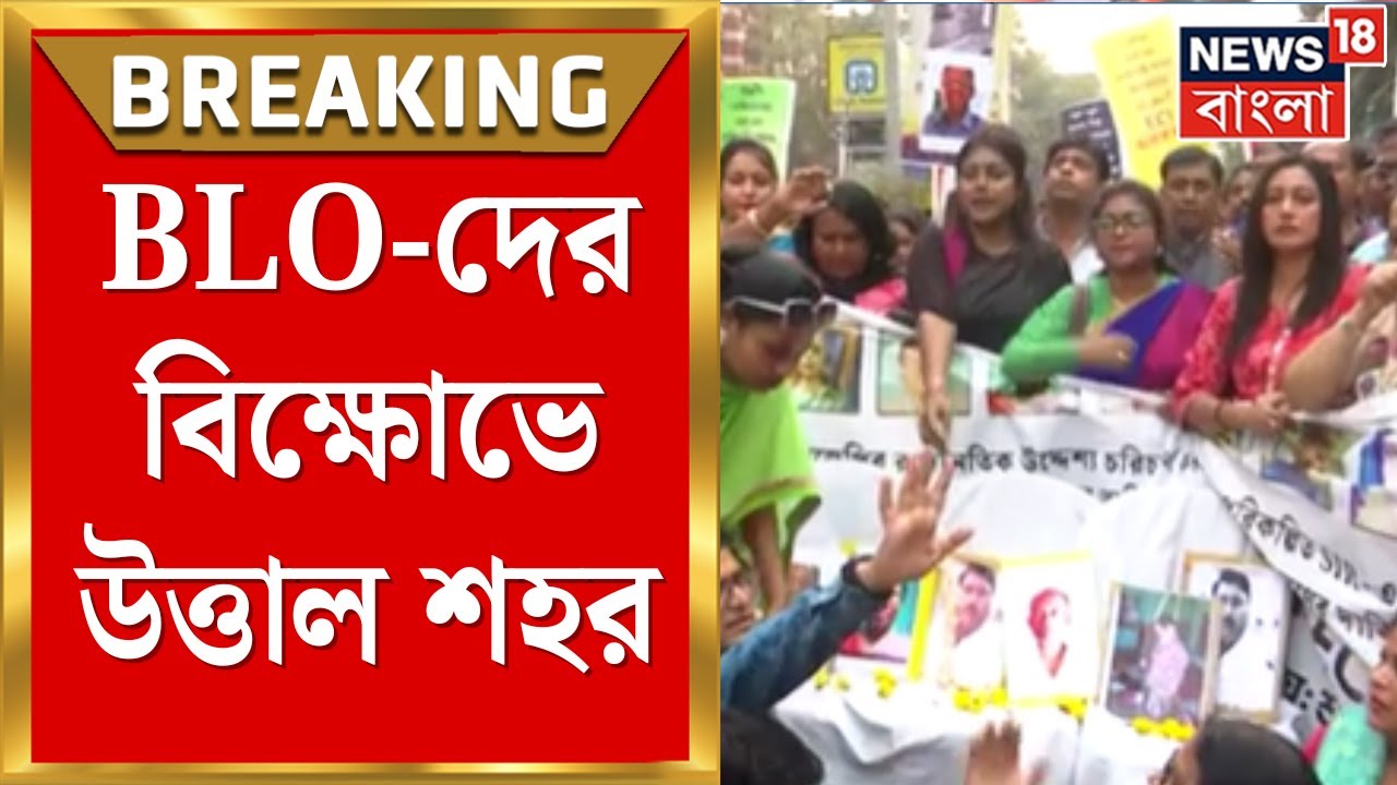 WB SIR News | CEO অফিসের সামনে  বিএলও অধিকার রক্ষা কমিটির BLO-দের বিক্ষোভ | Bangla News