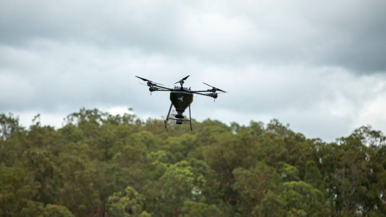 Dendra Systems' aerial seeding platform spreads millions of seeds to restore koala habitats