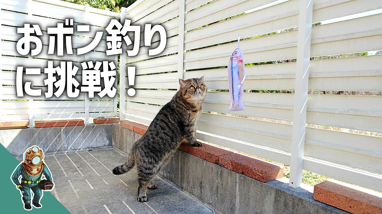おボン釣り