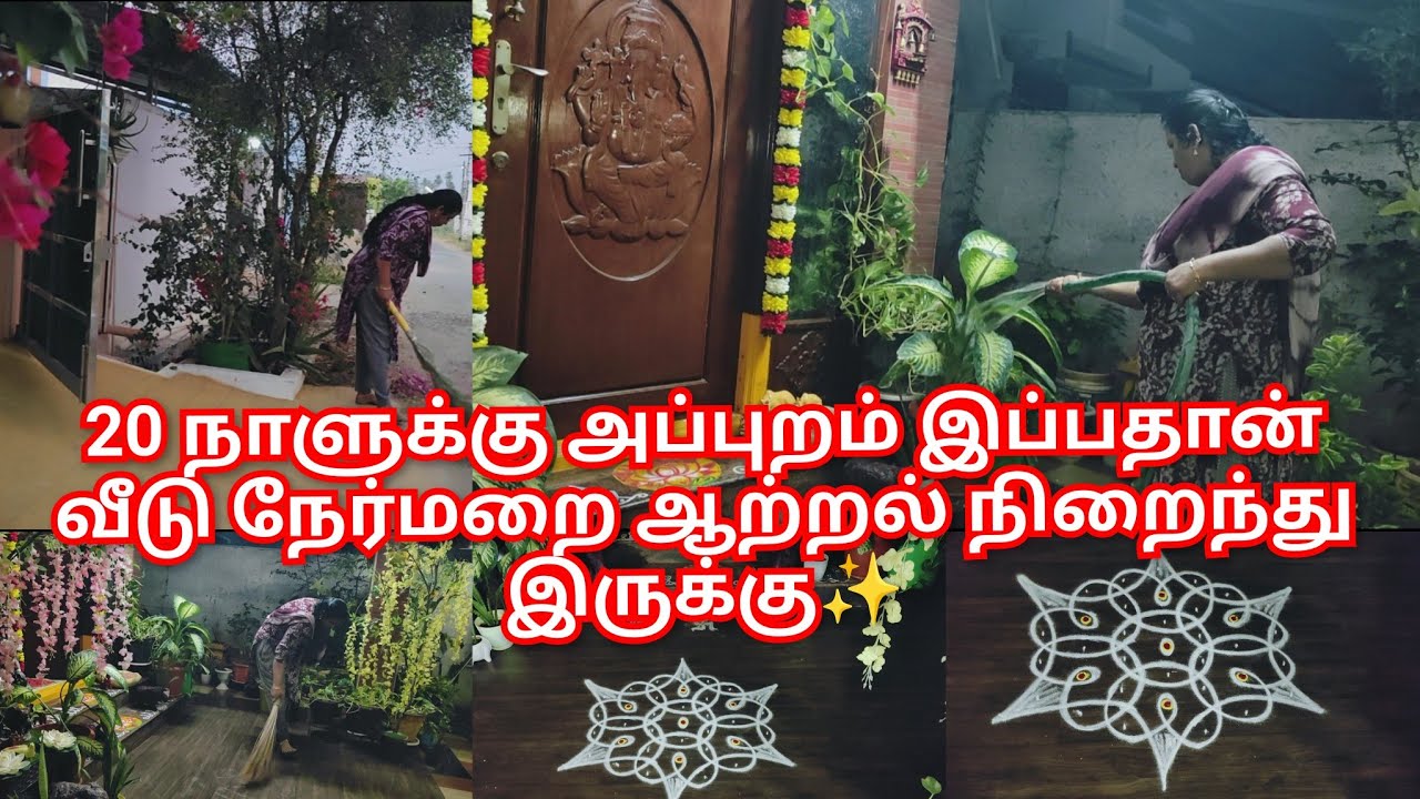 🌿20 நாளாக வீடே கலையிலந்து போச்சு 😌 இப்பதான் வீடு நேர்மறை ஆற்றல் நிறைந்து இருக்கு| ✨ Cleaning vlog 