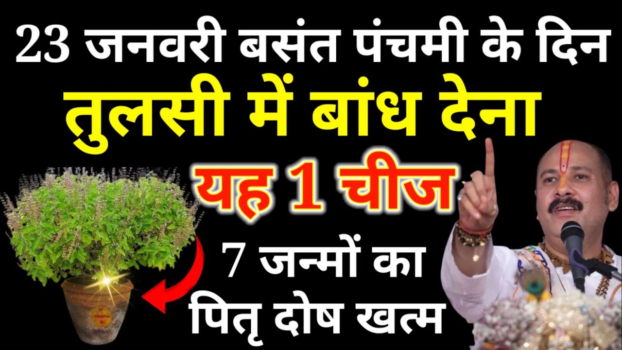 23 जनवरी बसंत पंचमी के दिन तुलसी में बांध देना ये 1 चीज 7 जन्म का पितृ दोष खत्म.#‌Basantpanchmi