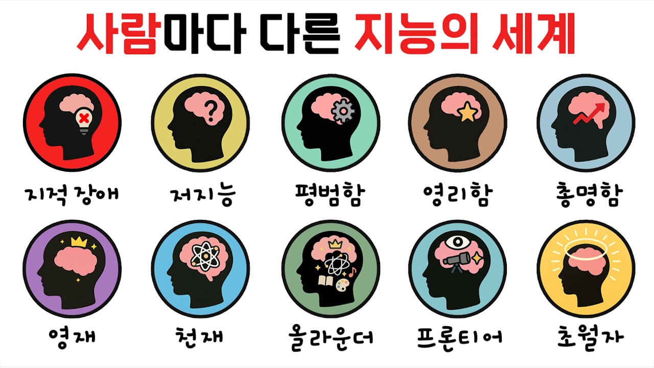 IQ부터 초월자까지,  모든 인간 지능 10단계 9분요약