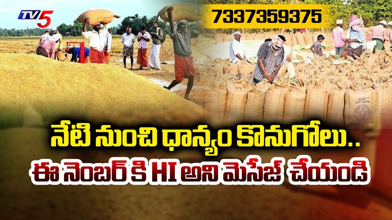 నేటి నుంచి ధాన్యం కొనుగోలు | Paddy Procurement Begins In AP | Latest News | TV5 News