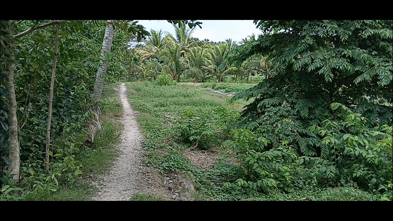 A Quiet Noon in Rural Vietnam  Peaceful Village Life
