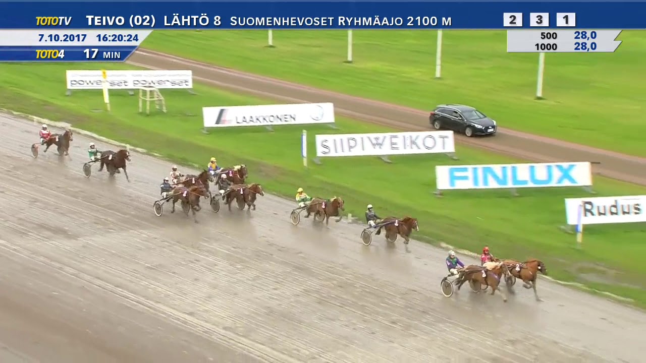 Suomenhevosten Kriterium 2017 - Vixus