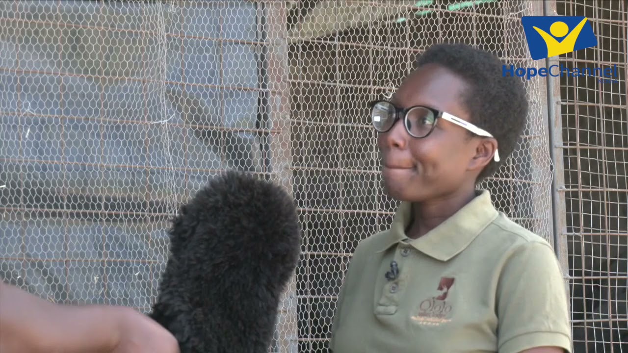 Ukulima Mfuti Ep.4 Organic Farming