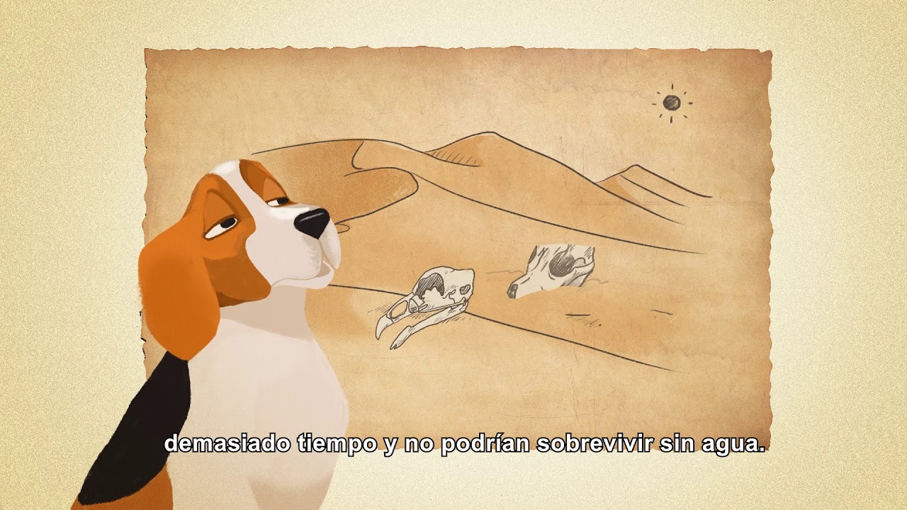 Círculos de Paz Video Animado