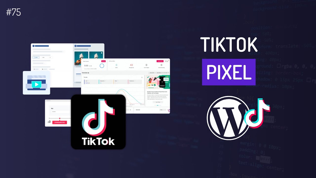 Comment installer le Pixel Tiktok sur WordPress ?