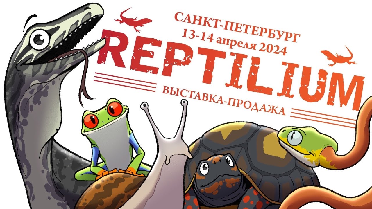 РЕПТИЛИУМ 2024 - Красивое и показывают, и продают! [ВЛОГ]