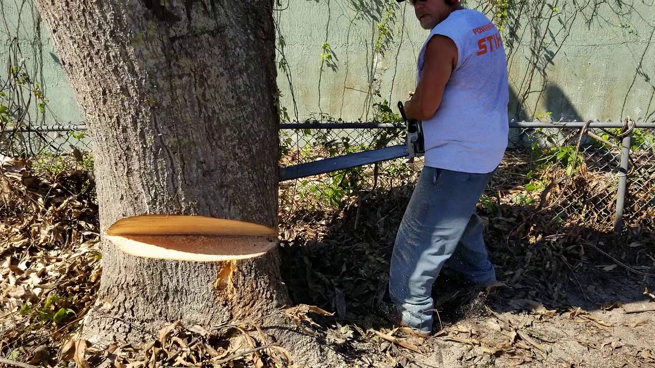 STIHL 064 AV 54MM cylinder