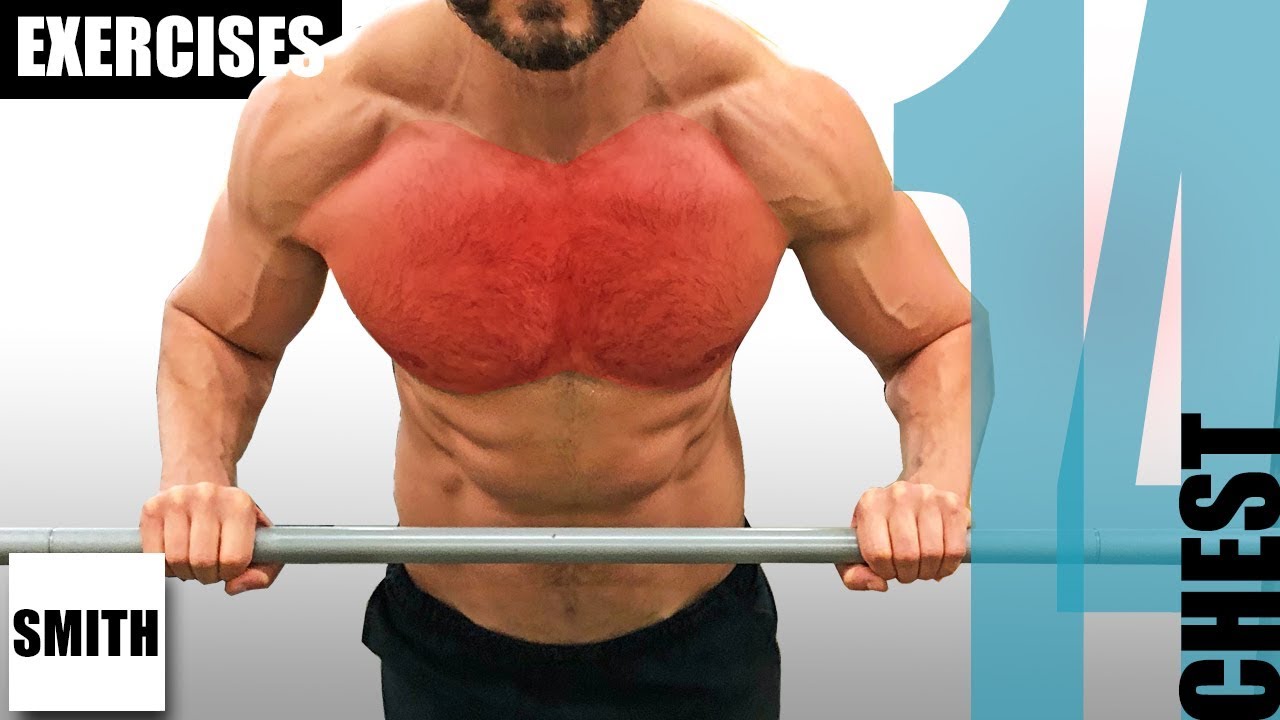14 SMITH MACHINE CHEST EXERCISES AND THE MUSCLES THEY TARGET