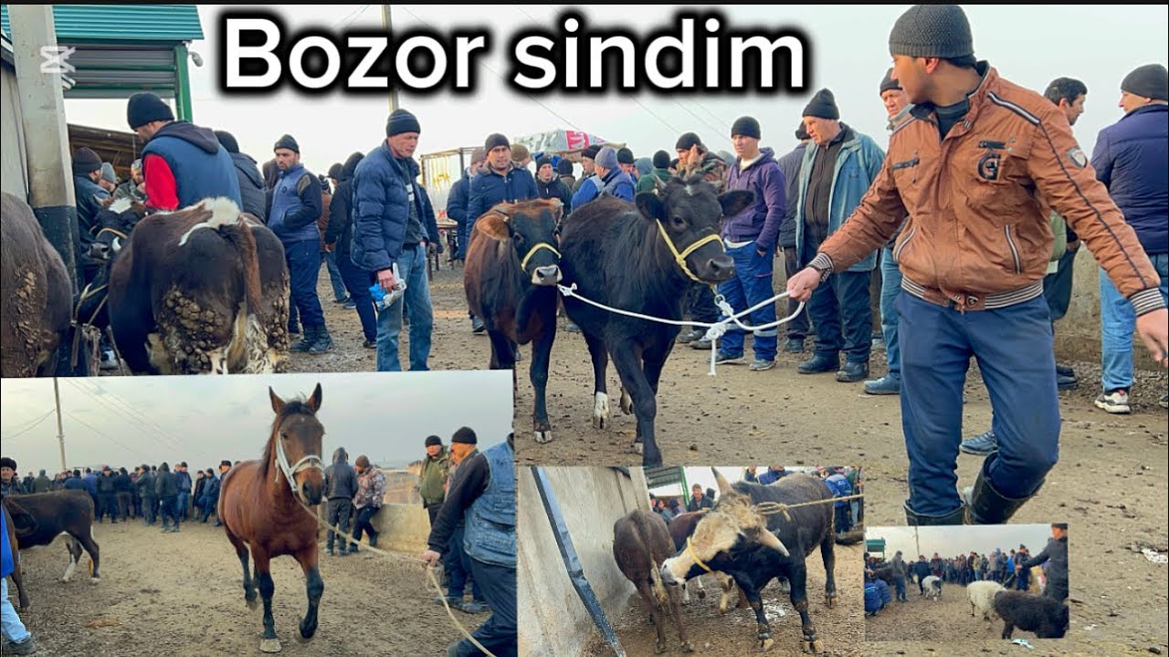 NARXLAR NIMAGA BUNAQA BOLIB KETYABDI SABAB NIMADA 2026.02.10