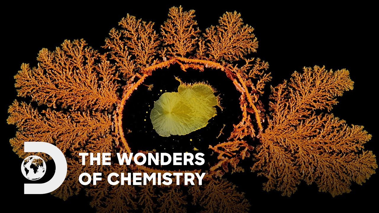 The Wonders of Chemistry | IP PLAN 2025 | Discovery Channel Southeast Asia