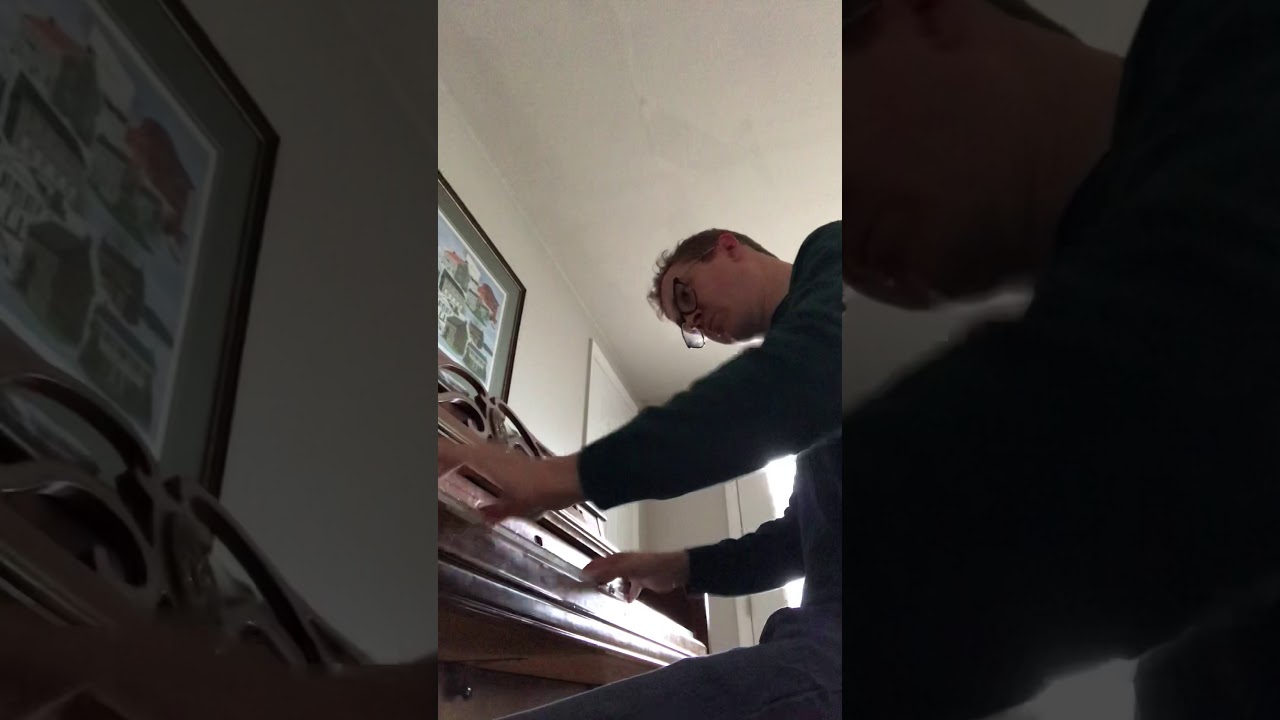 Bosse de Nage - Washerwoman (Cover by Nathaniel Byers)