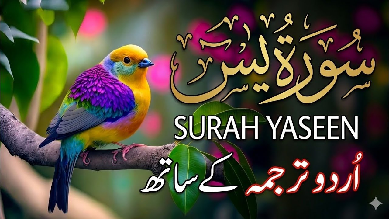 Surah Yaseen (سورة يس) - Beautiful Recitation with Urdu Translation | Qari Mansoor Ghaznavi | EPs 15