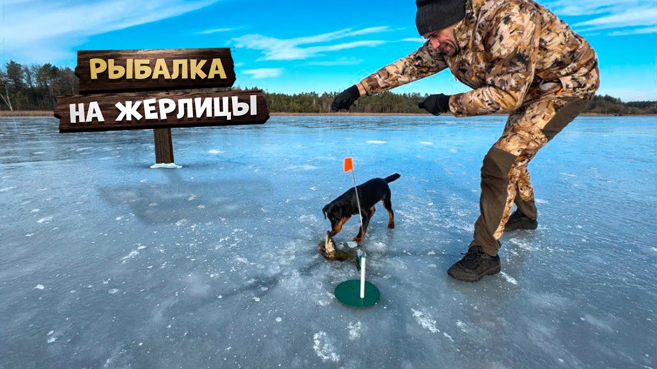 Рыбалка по первому льду, на жерлицы. Фаршированная щука с вешенками