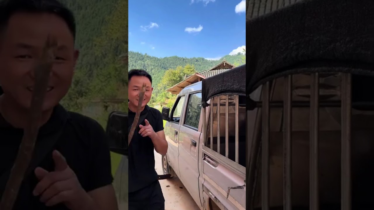 我经常穿行于这些大山之中，是想做好一件事。就是把一口真正放心、好吃的高品质土猪肉，送到您的餐桌上。