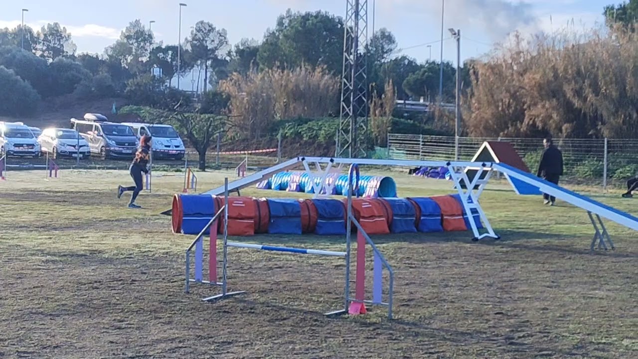 Diva RSCE Seven 8-02-26 Agility 2