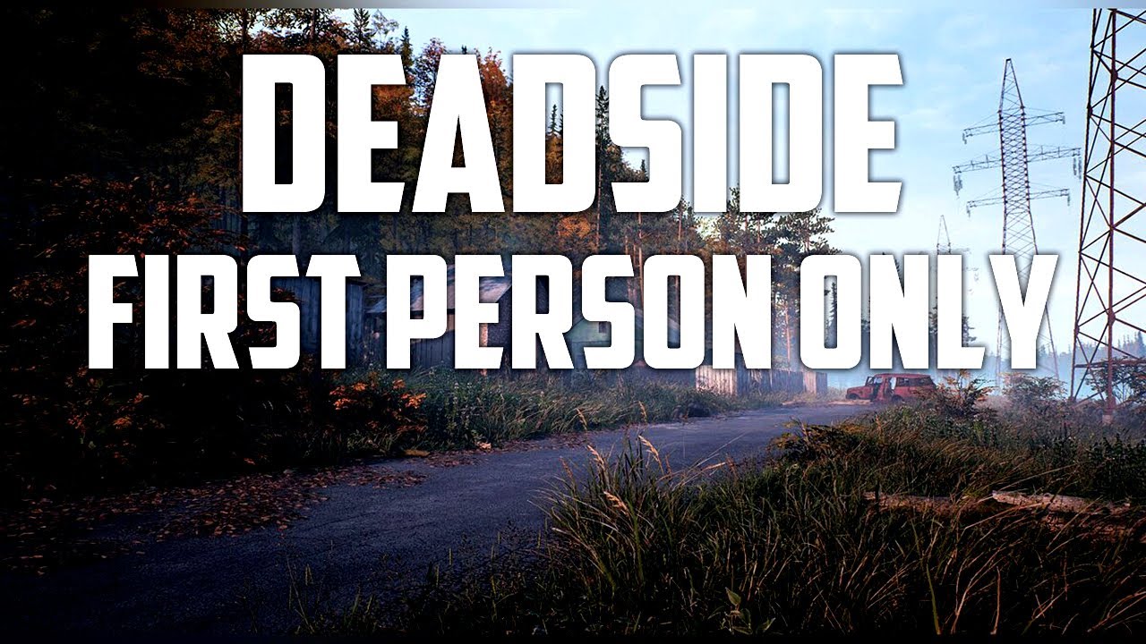 ИГРАЮ ОТ ПЕРВОГО ЛИЦА 🔴 DEADSIDE 0.11.0. 🔴 LIVE STREAM