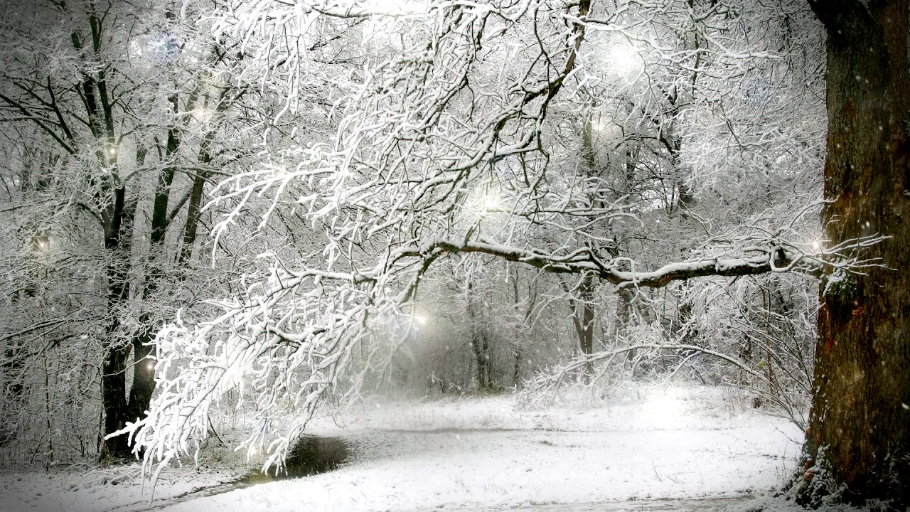 Gnot - Snowfall