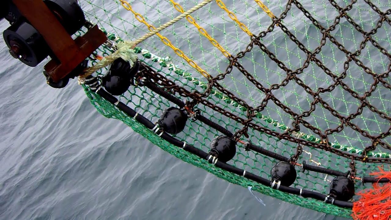 Roller-Ball Ground Gear on a Beam Trawl