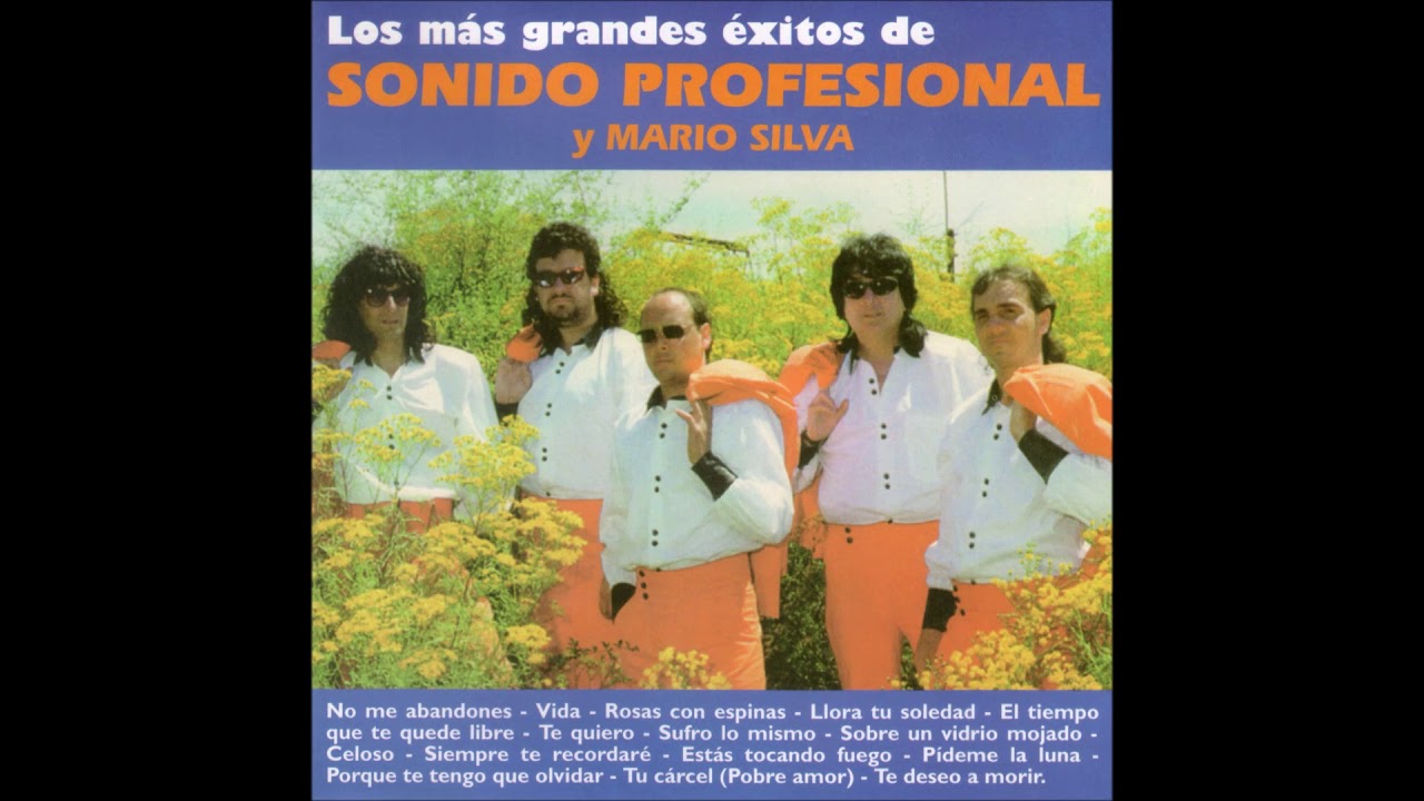 🎧SONIDO PROFESIONAL - Los Mas Grandes Exitos (1996) [📀Calidad SONDOR]