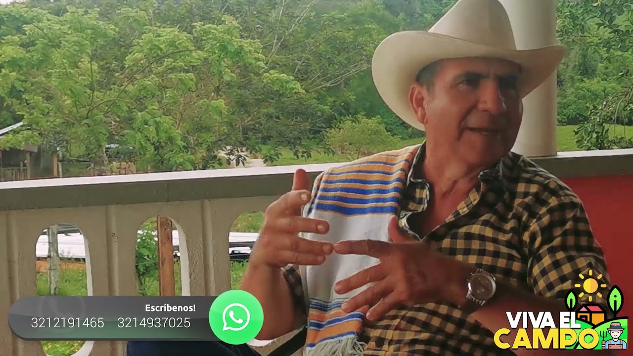 GANADERIA DE CEBA - VIVA EL CAMPO