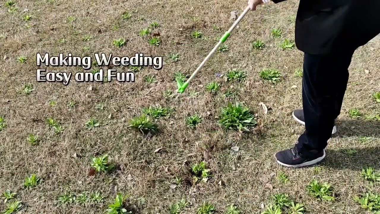 Stand up Weeder #gardeningtools #growbags #gardentool #horticulturelife