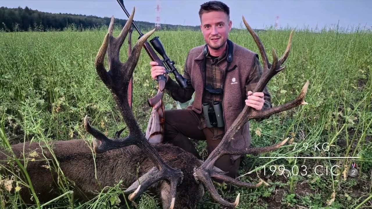 Redstag hunting Poland 2024 big silver medal