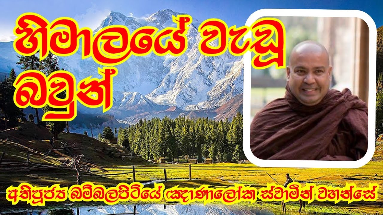 හිමාලයේ වැඩූ බවුන් | Ven.Bambalapitiye Gnanaloka Thero @rev.ridiyagamaindalokathero