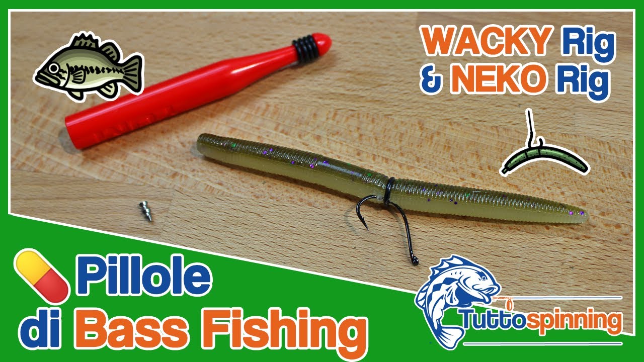 WACKY RIG & NEKO RIG 💊 Pillole di Bass Fishing