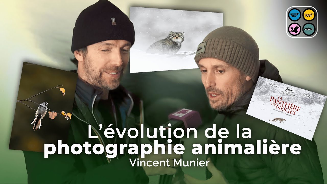 L'évolution de la photographie animalière - Vincent Munier - MONTIER 2023