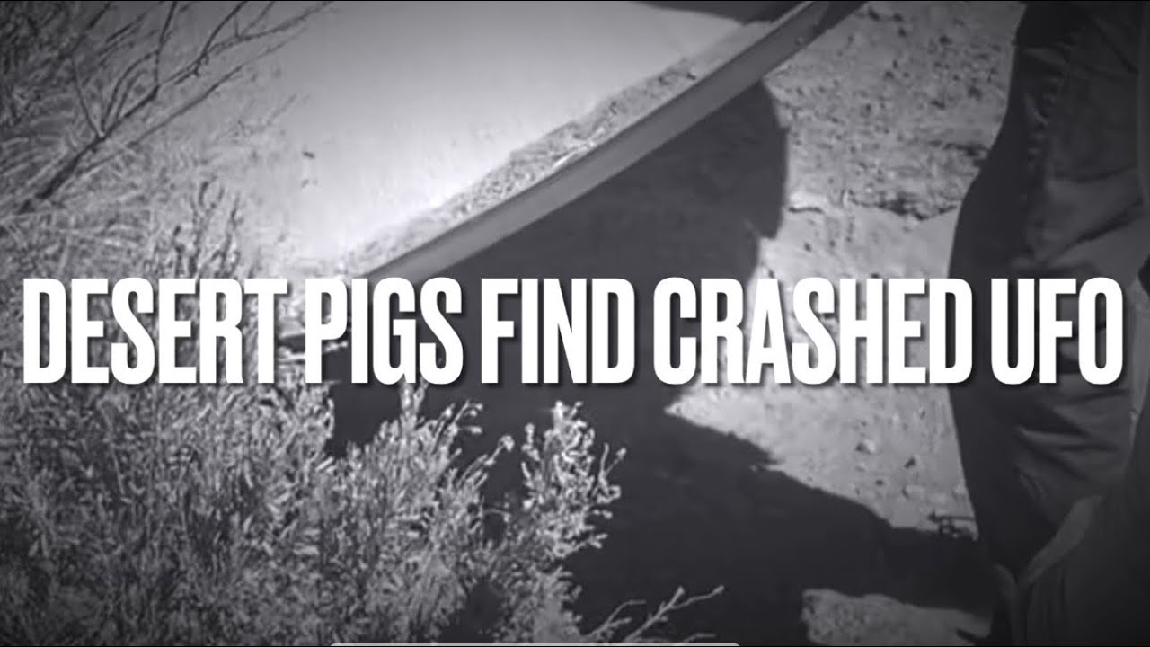Desert Pigs discover UFO