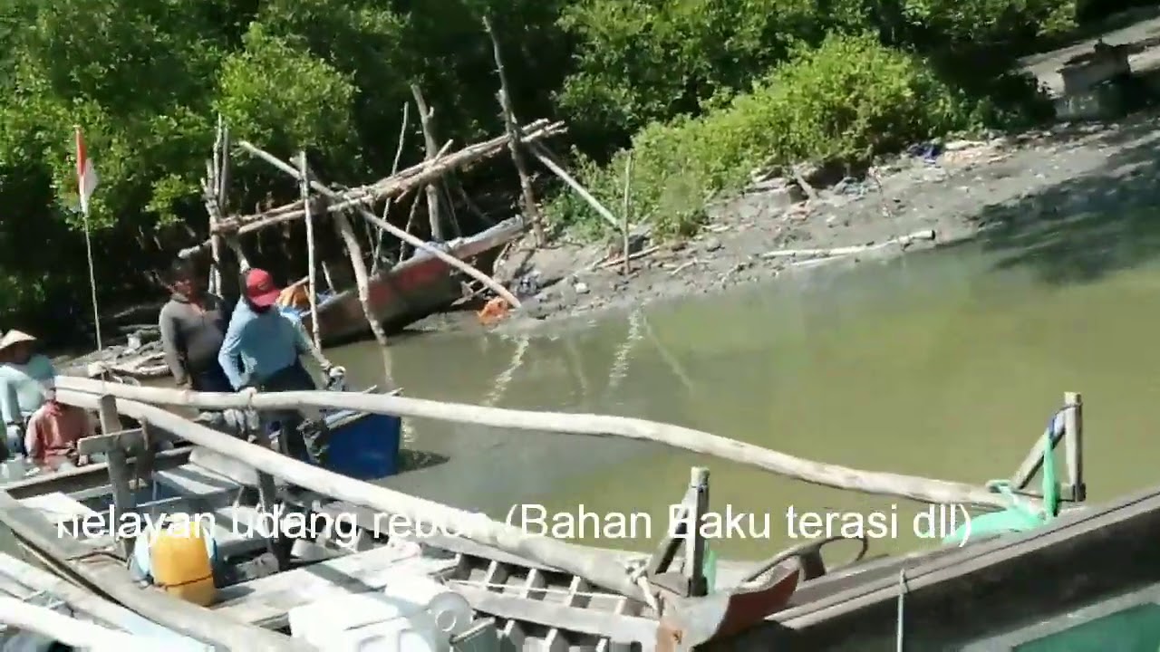 Nelayan udang rebon