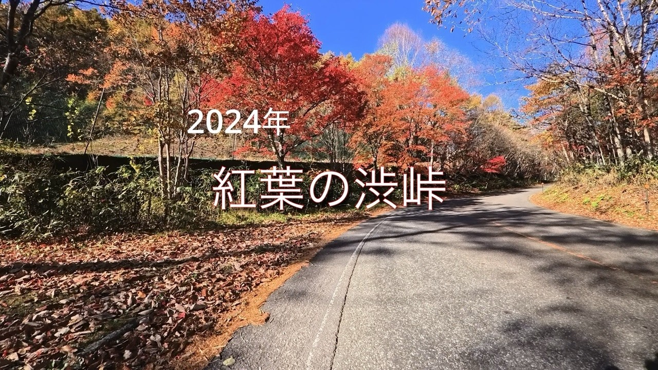 2024年秋の紅葉渋峠