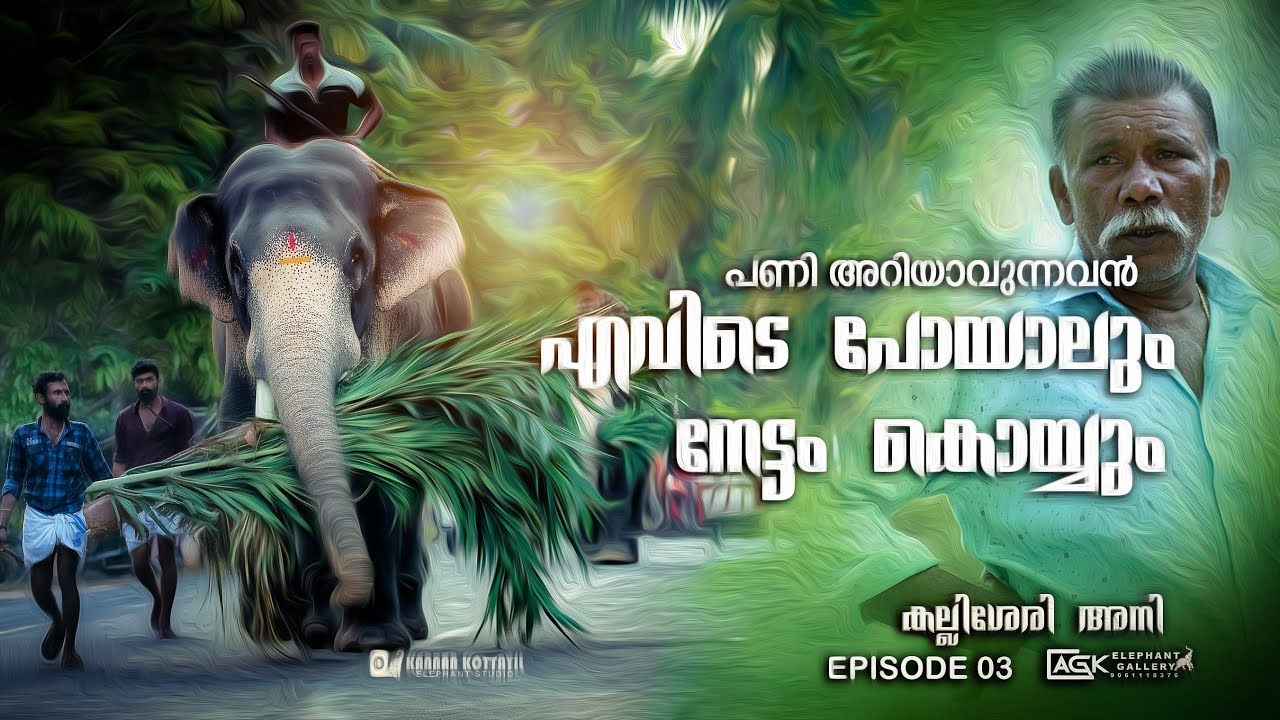 ഭീകരൻ അല്ല അവൻ നാരായണൻ  |കല്ലിശേരി അനി |വള്ളംകുളം നാരായണൻകുട്ടി |EPISODE 03 |
