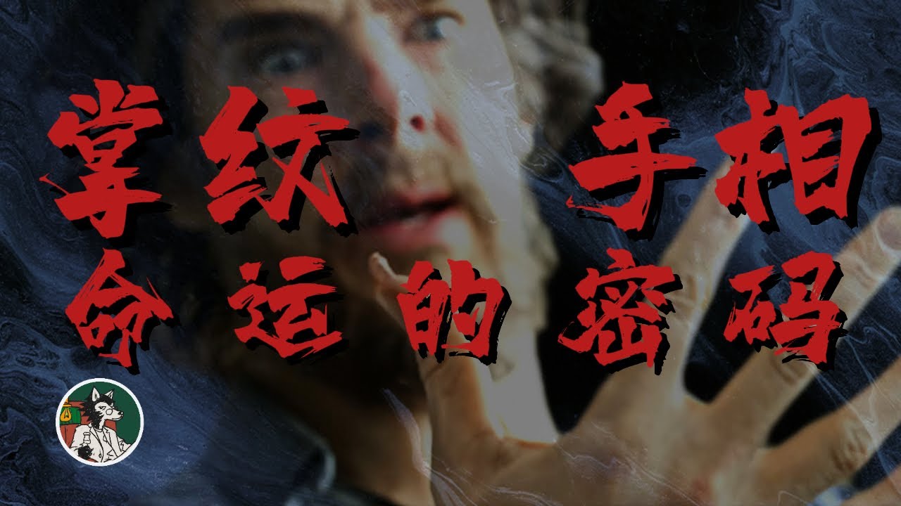 手相究竟是怎么一回事 #独立思考  #手相 #玄学 #命运 #性格