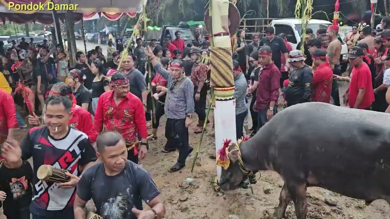 Karungut Tiwah _ Desa Pondok Damar _ Alm Mino Jinal _ Ito Kaderang _ Tandak Timang