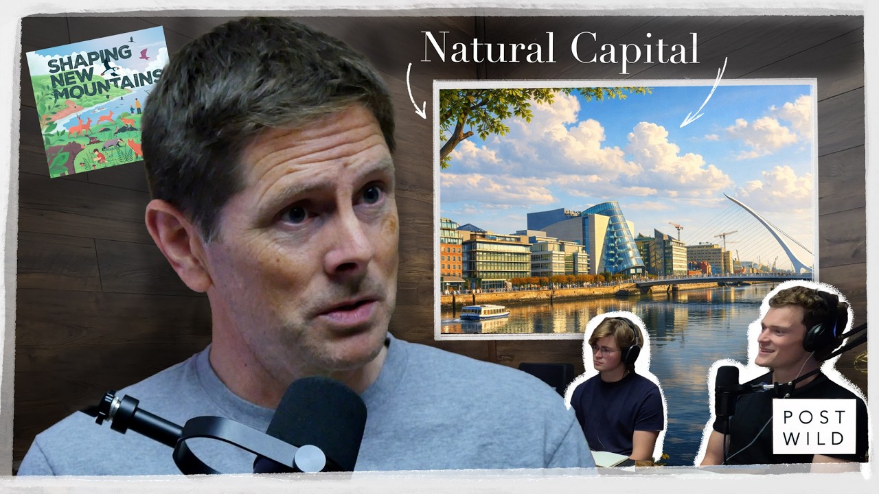 Wild Dublin: Is Our City Green Enough?
