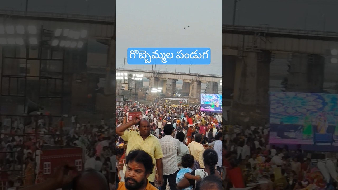 గొబ్బెమ్మల పండుగ